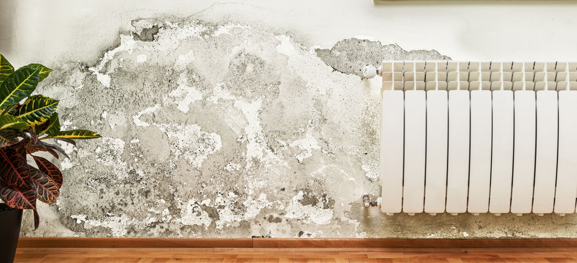 Damaged wall beside a radiator awaiting repair